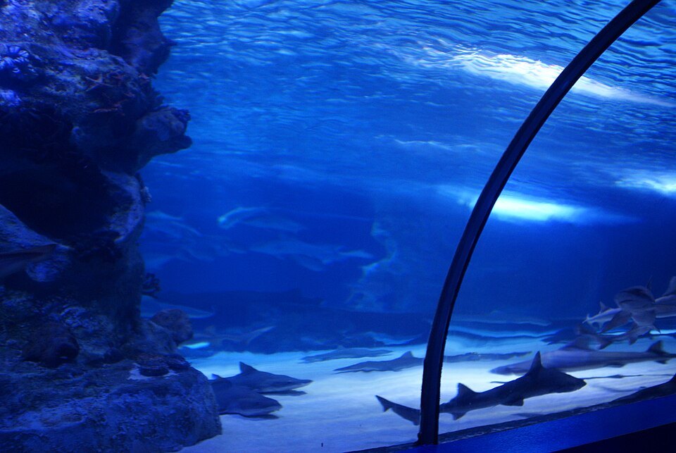 Antalya Aquarium