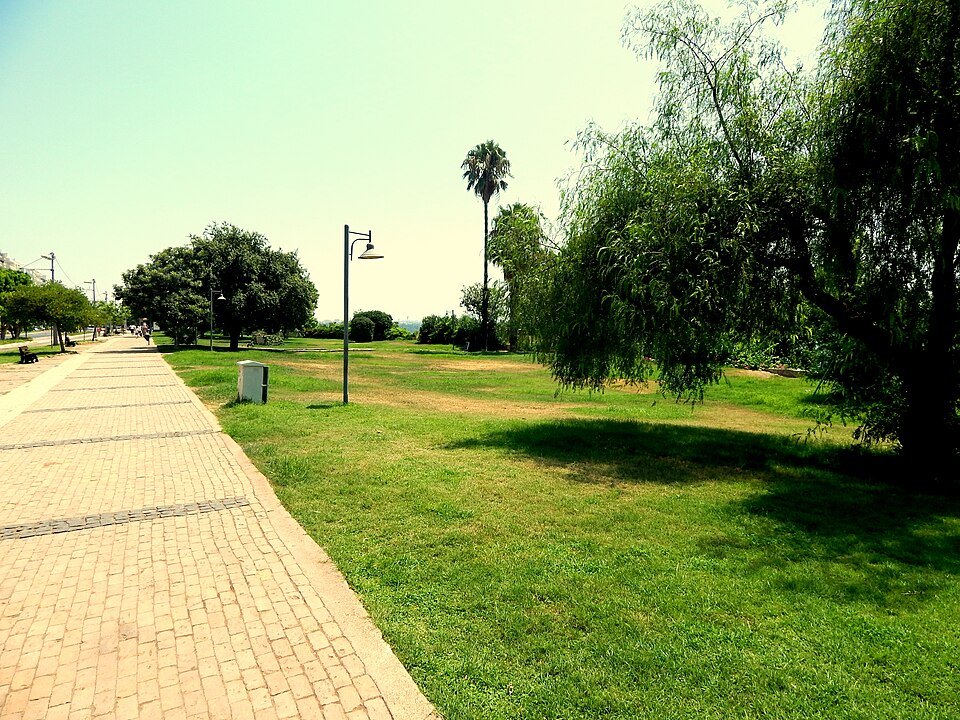 Atatürk Parkı...